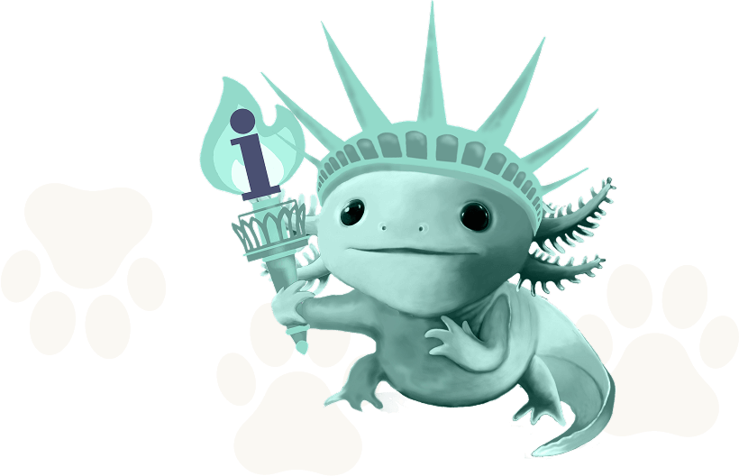 footer image